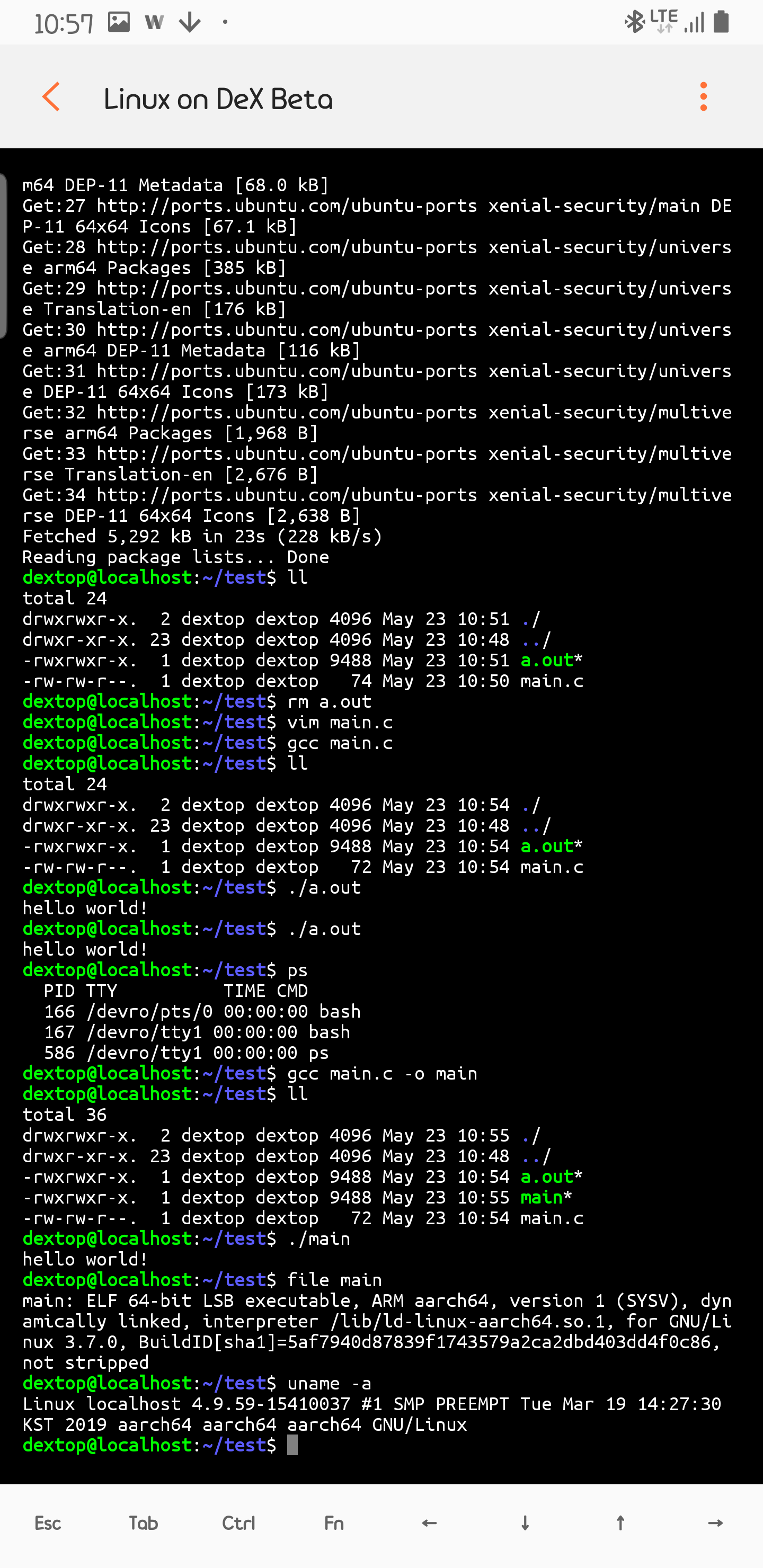 Screenshot_20190523-105724_Linux on DeX Beta.png