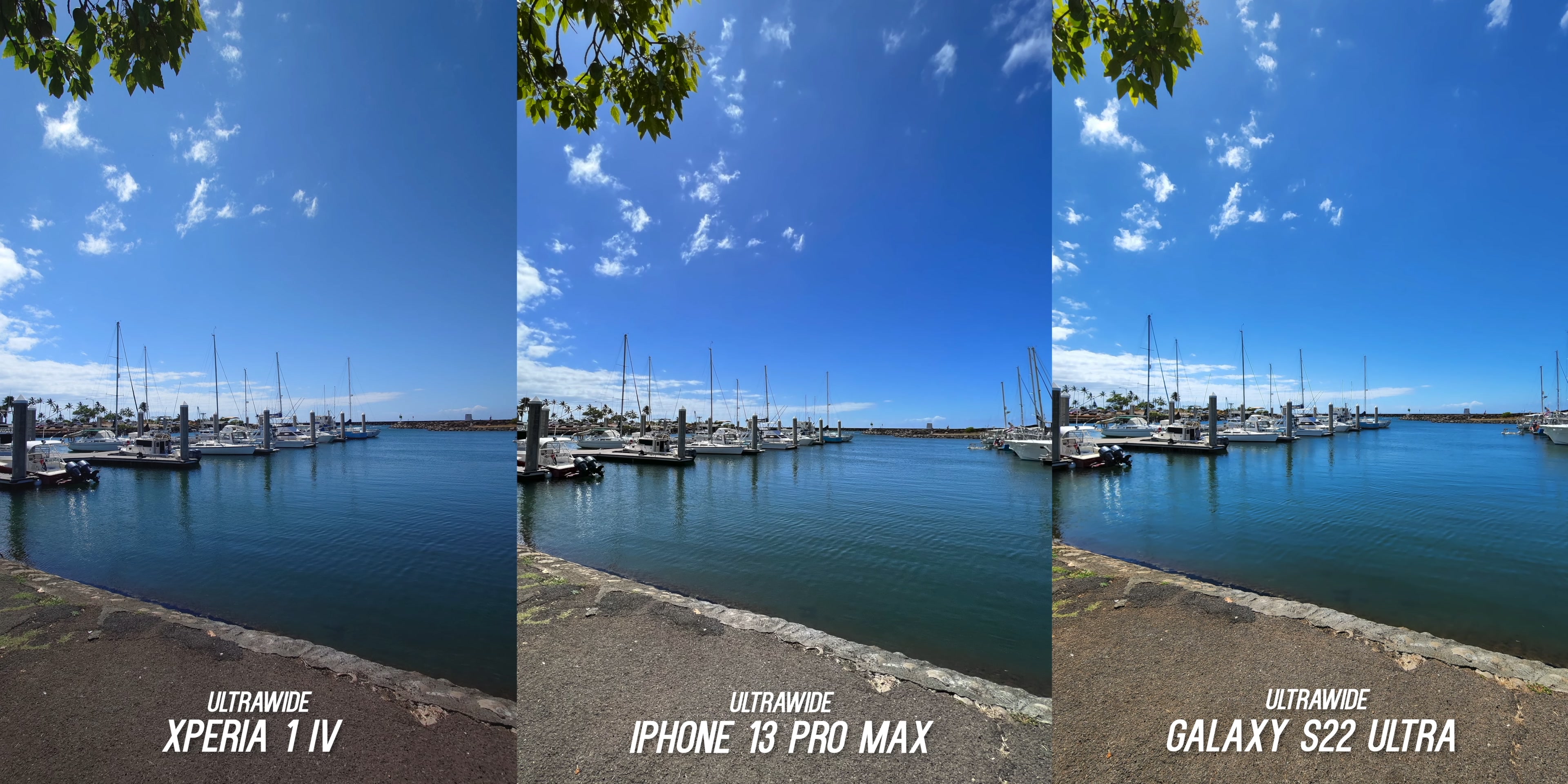 Sony Xperia 1 IV vs iPhone 13 Pro Max vs Galaxy S22 Ultra Real World Camera Test.mkv_20220620_162031.128.jpg