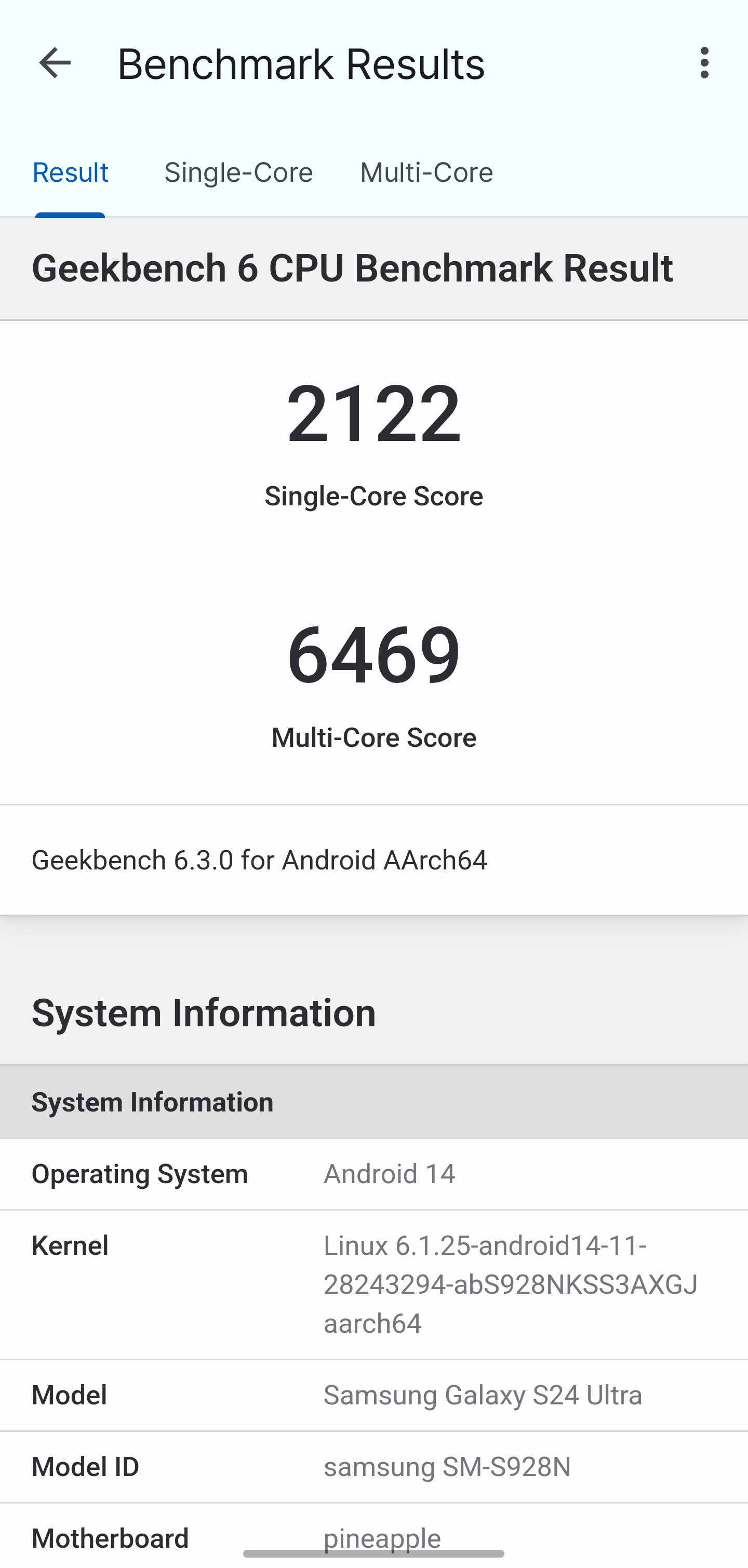 Screenshot_20240826_221720_Geekbench 6.png