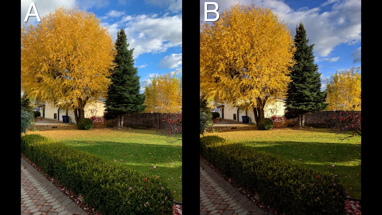 28393-44055-blind---iPhone-XR-vs-Google-Pixel-3-XL-Dynamic-Range-Test-Tree-xl.jpg
