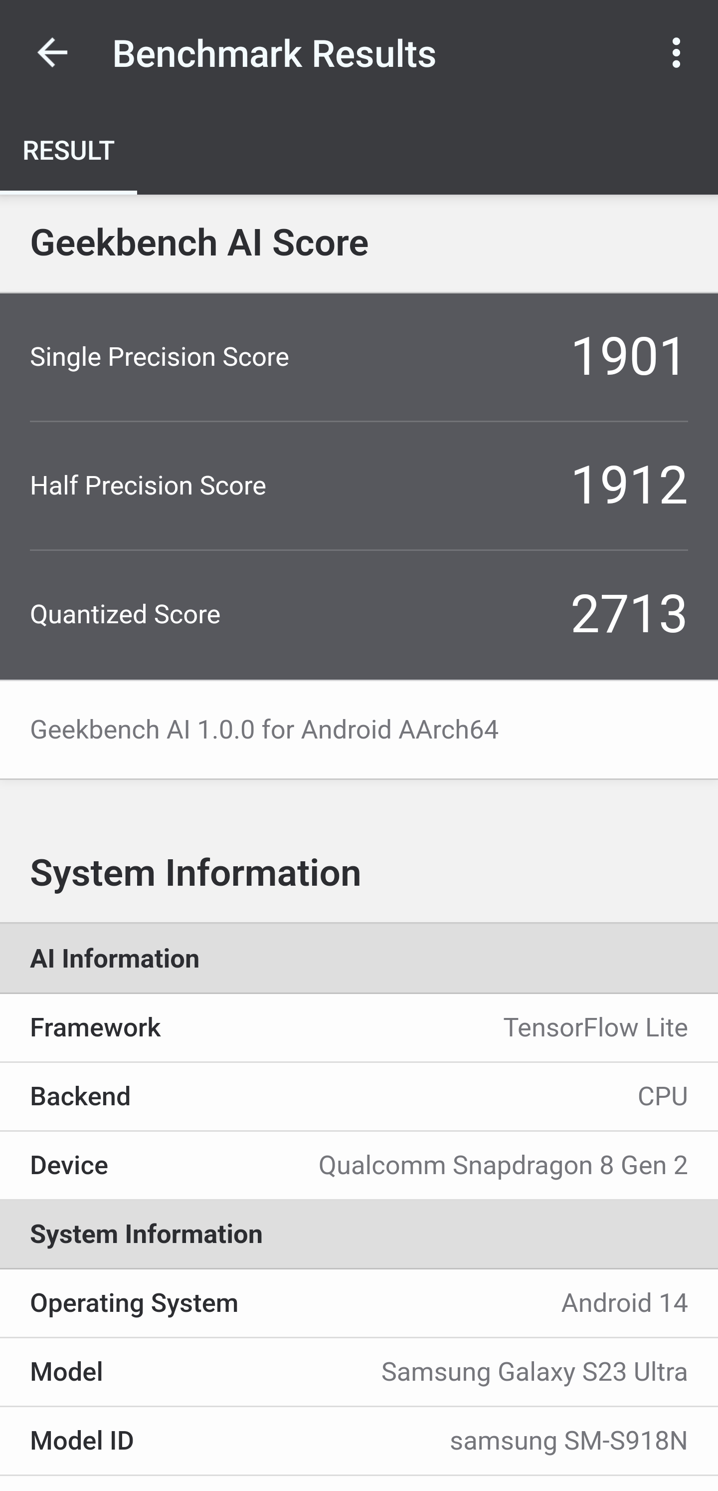 Screenshot_20240817_135815_Geekbench AI.jpg