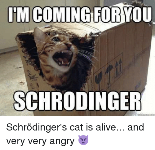 im-coming-for-you-schrodinger-schrödingers-cat-is-alive-and-6994658.png