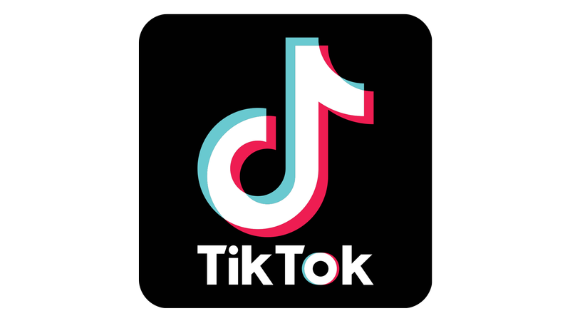 how-to-use-tiktok-main_thumb800.png