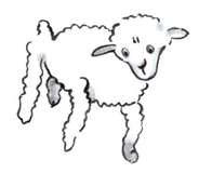 LP7-Sheep3.png