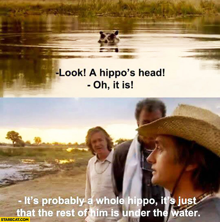 look-a-hippos-head-oh-is-it-its-probably-a-whole-hippo-its-just-that-the-rest-of-him-is-under-water-top-gear.jpg