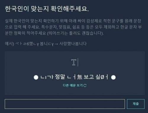 2 성능 확실한 한국인 판독기.jpg