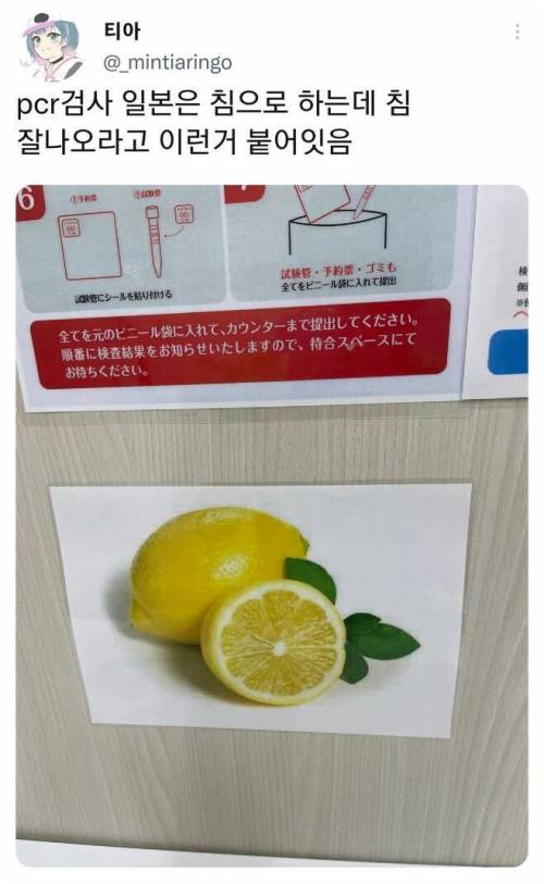 14 일본에서 PCR 검사 하는 법.jpg