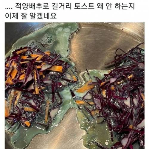 1 적양배추로 토스트 안하는 이유.jpg