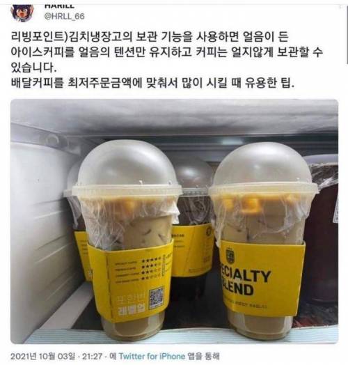 15 아이스커피 냉장 보괄할 때 꿀팁 한국인들은 커피에 김치를 타먹는다며.jpg