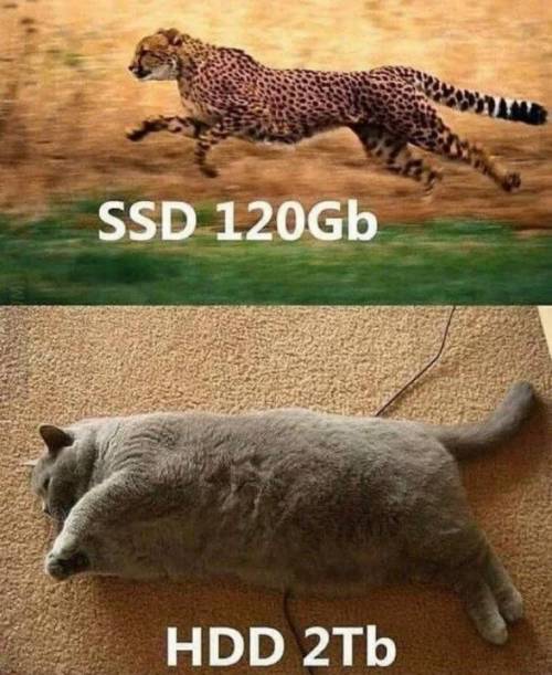 3 SSD VS HDD.jpg