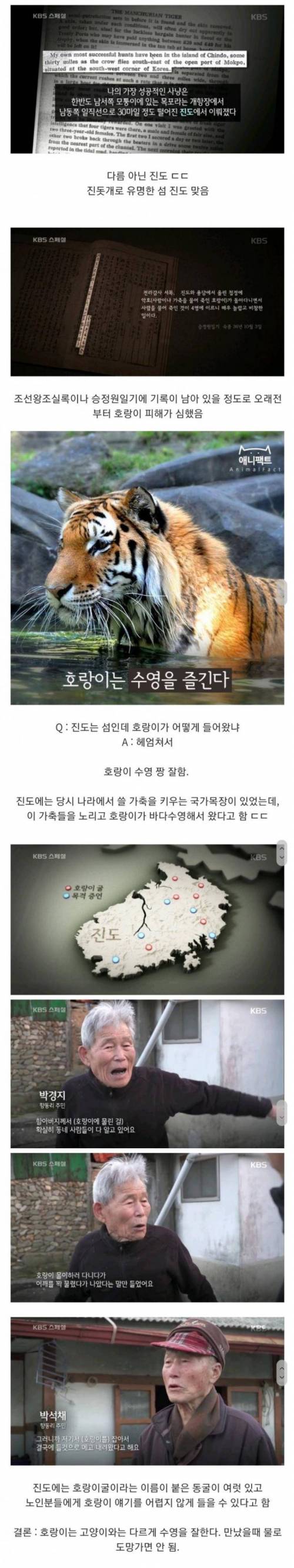 17 조선시대에 의외로 호랑이 피해가 많았던 지역.jpg