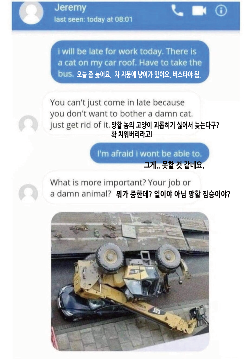 15 차 지붕에 고양이가 있어서 늦어요.png