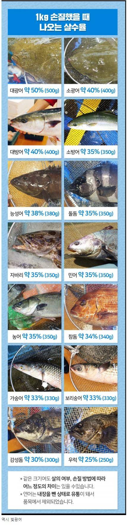 18 생선 별 횟감 손질시 나오는 1kg당 수율.jpg