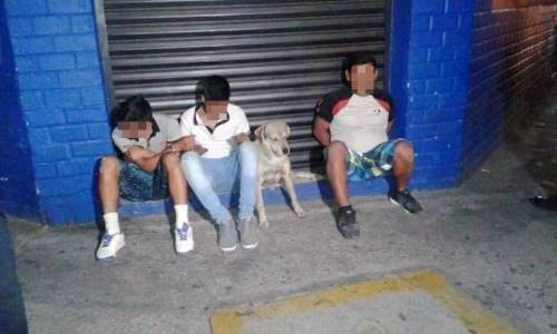 17 멕시코의 도둑 검거 현장 산책가는줄 알고 따라나왔다 같이 검거된 댕댕이.jpg