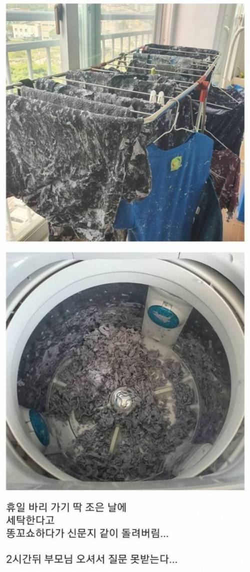 20 세탁기 대참사.jpg