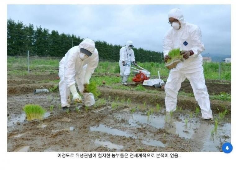1 후쿠시마 쌀이 안전한 이유.jpg
