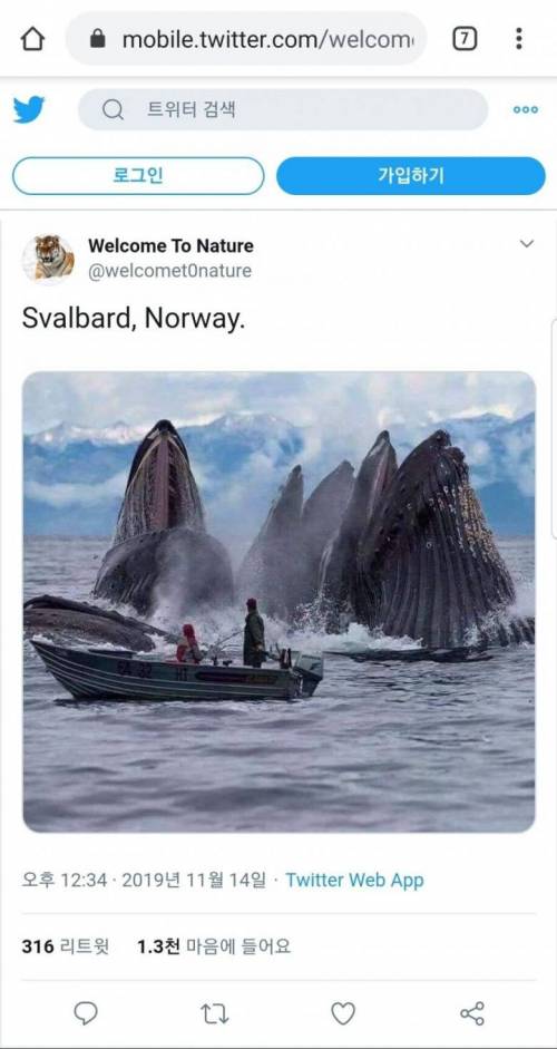 17 노르웨이 바다낚시 클라스.jpg