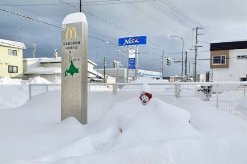8 맥도날드 일본 최북단 지점 란...란....루....jpg