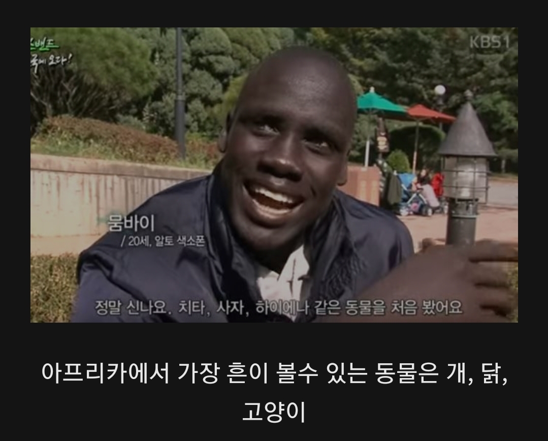 1 아프리카 사람이 한국에 와서 처음보고 놀란것.jpg