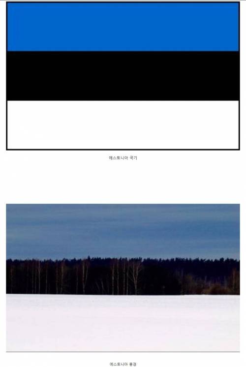 2 에스토니아 국기의 비밀.jpg