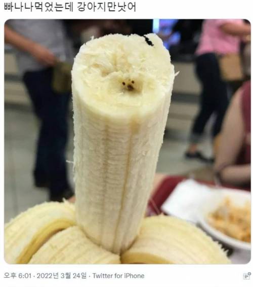 5 바나나 먹다 댕댕이 만남.jpg
