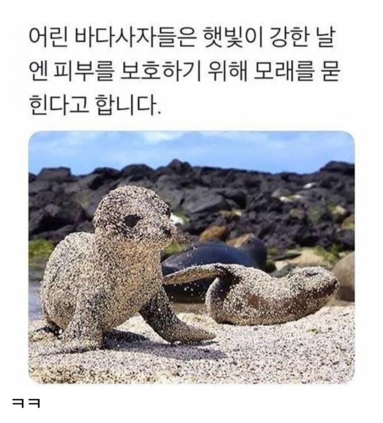 16 바다인절미.jpg