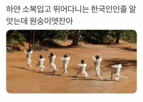 20 하얀 소복입고 뛰어다니는 한국인.jpg