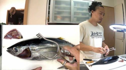 10 와들와들 일본 치과의사 유튜버 참치 대동맥에 카테터 넣어서 피대신 간장흐르게 해서 참치덮밥만듬.jpg