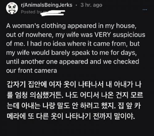 8 집에서 발견된 다른여자 옷을 보고 불륜을 의심한 아내.jpg