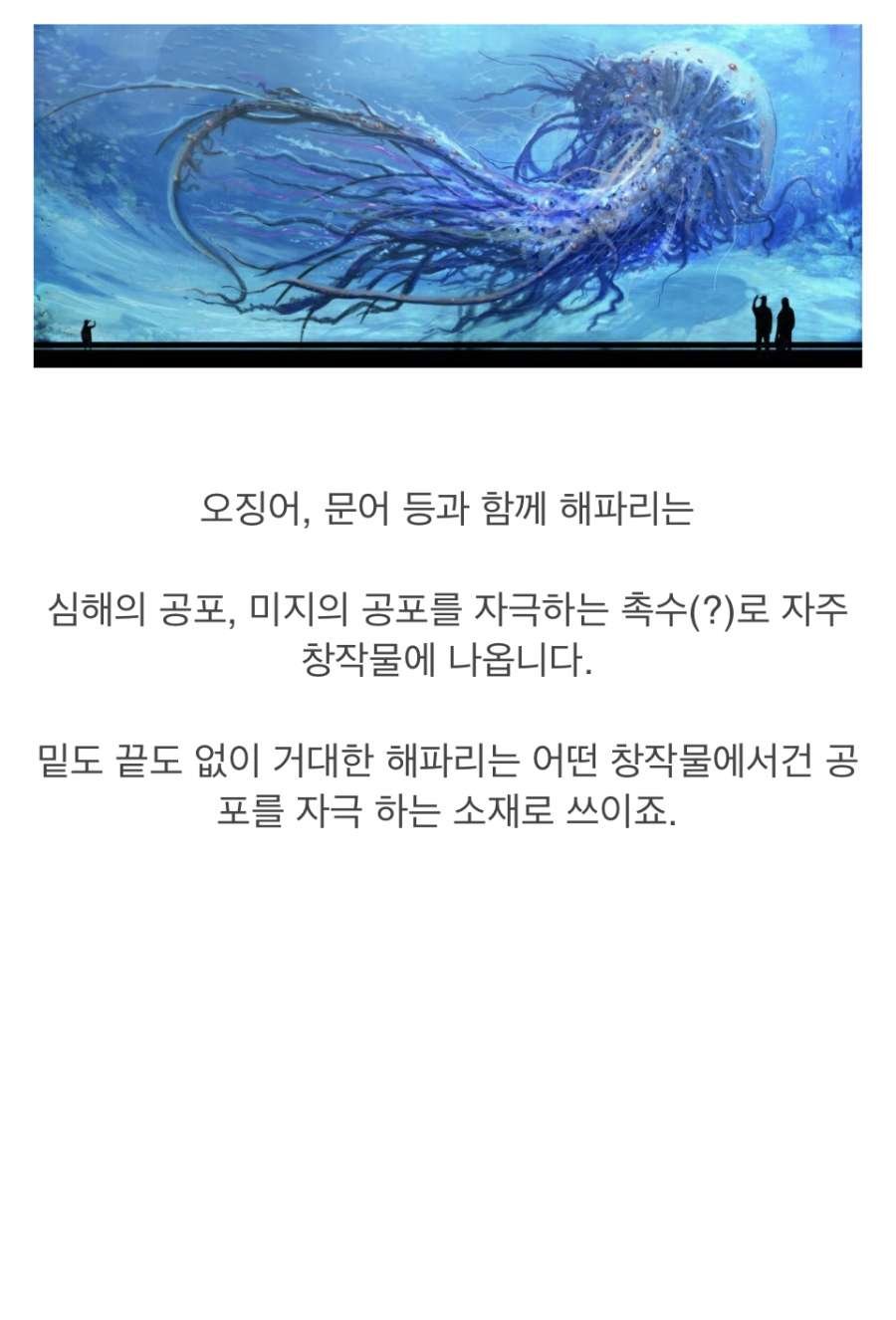 12 심해 해파리에 대한 환상과 진실.jpg