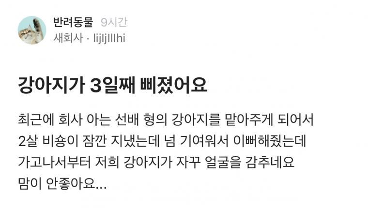 11 강아지가 3일째 삐져있어요..jpg