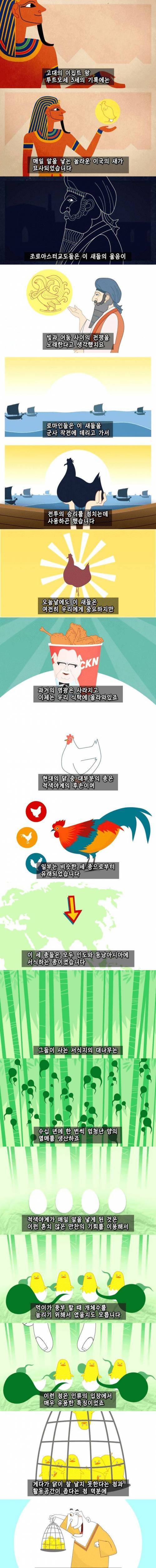 7 치킨의 역사.jpg