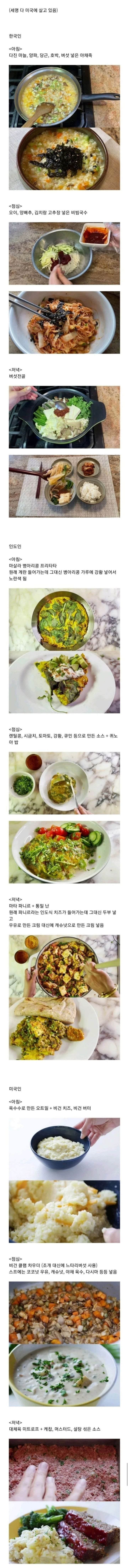 7 한국, 인도, 미국인 채식주의자의 하루 식사.jpg