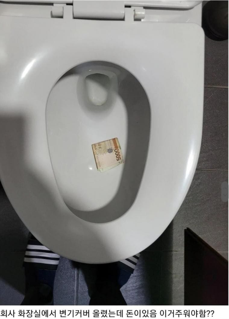 13 화장실 변기커버 올렸는데 돈이 있음 줍는다 vs 안 줍는다.jpg