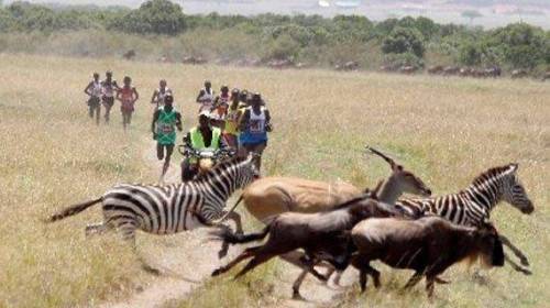 8 케냐의 친환경 마라톤 대회.jpg