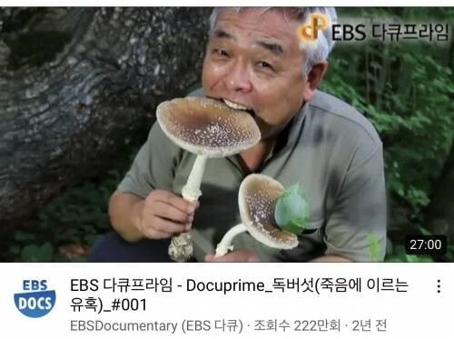 10 거부할수 없는 썸네일을 보여주는 EBS.jpg