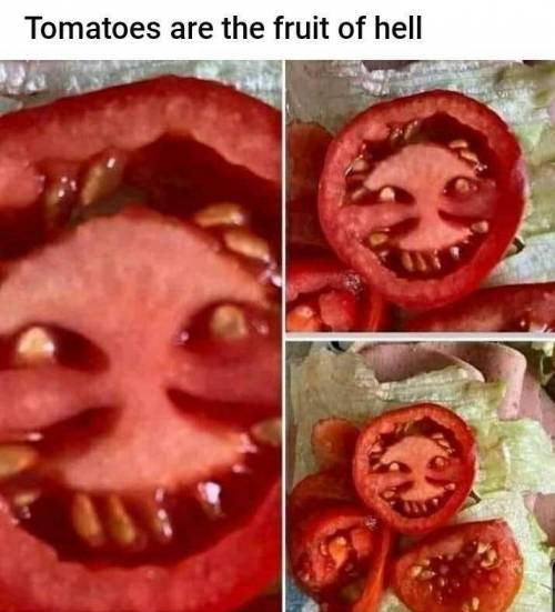 1 지옥에서 온 토마토.jpg