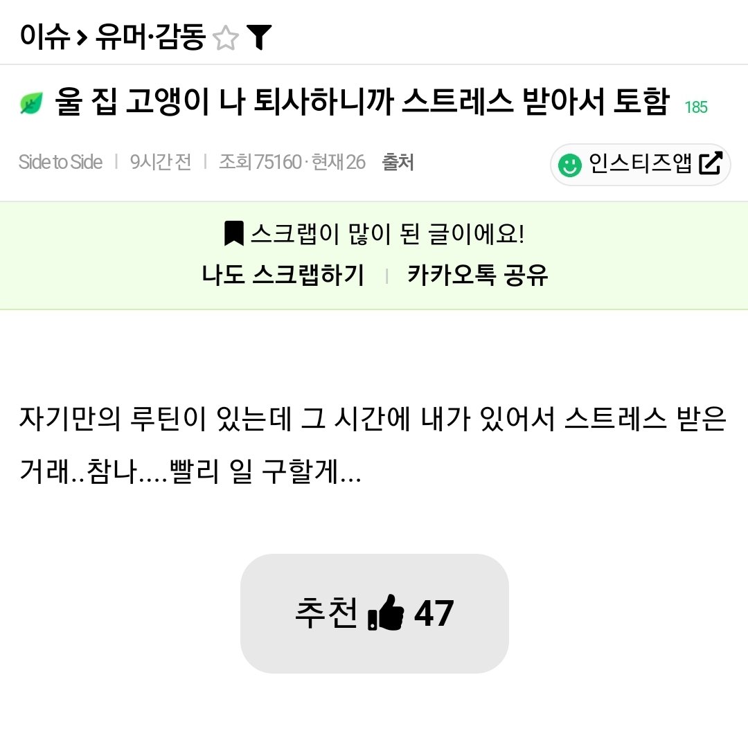 6 집사의 퇴사가 고양이에게 미친 영향.jpg