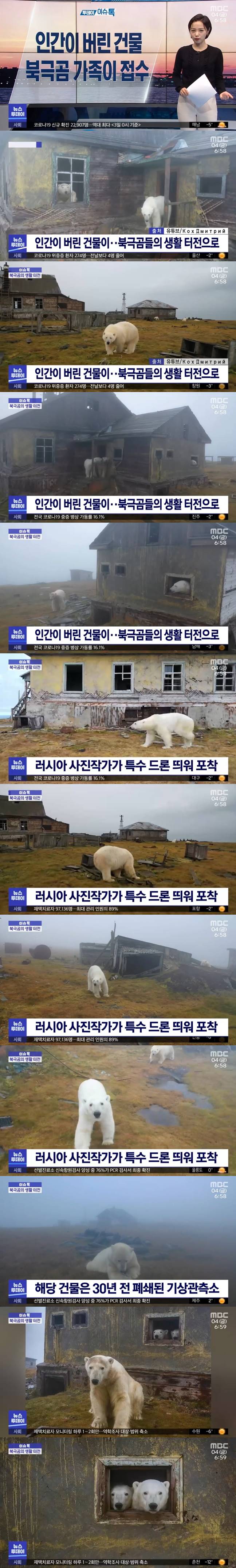 15 인간이 버린 건물에 입주한 북극곰 가족.jpg