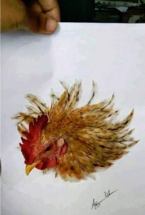 10 살아있는듯한 닭그림.jpg