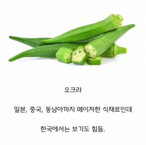 5 동아시아 국가중 한국에서만 안 먹는 채소.jpg
