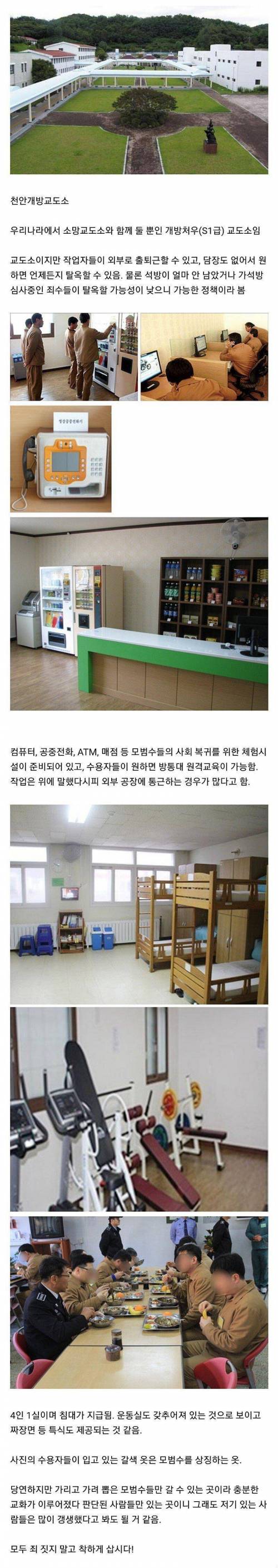13 한국의 개방 교도소.jpg