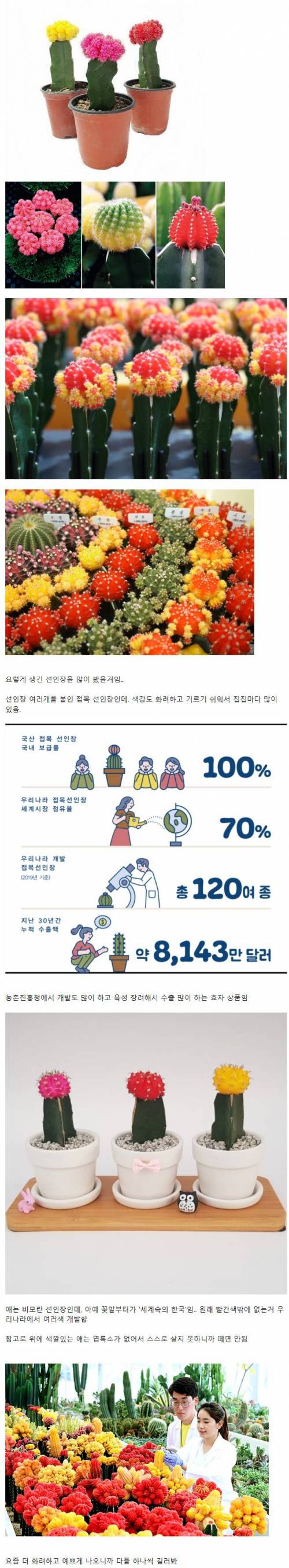 5 세계 시장 70_ 점유하는 한국산 식물.jpg