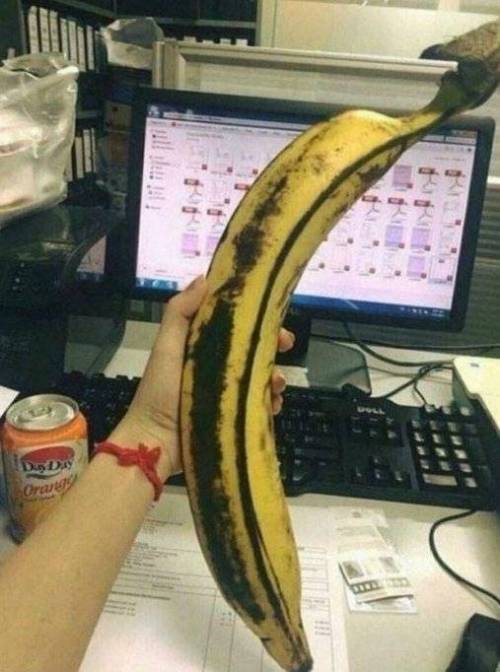 14 식단중이라 바나나 하나만 먹는다는 직원.jpg