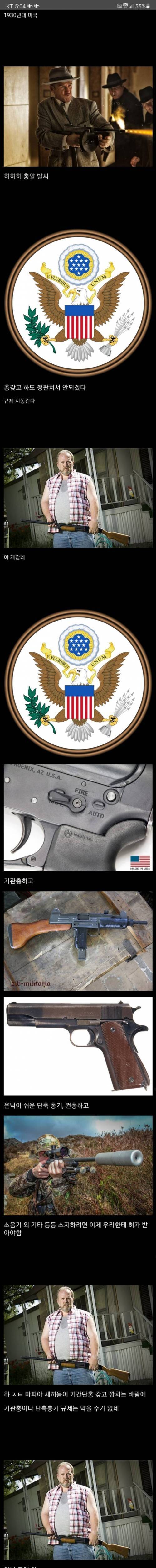 17 미국의 총기 규제.jpg