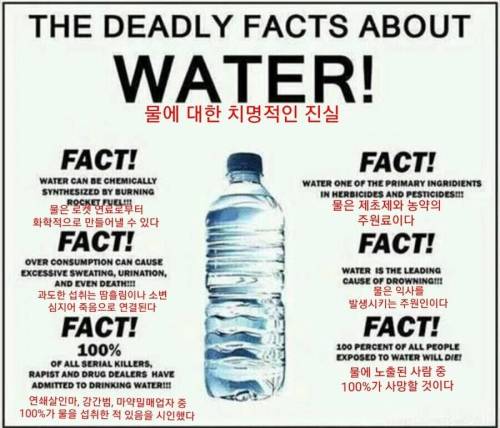 4 물에 대한 치명적인 진실.jpg