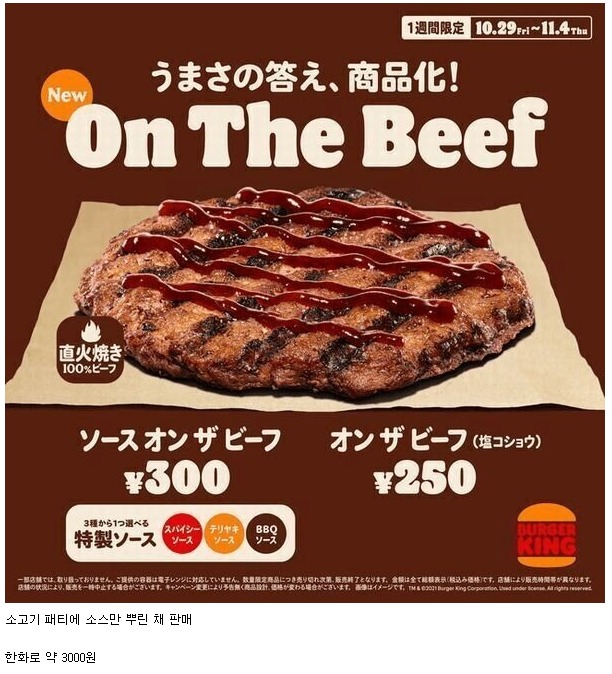 10 특이한 일본 버거킹 메뉴 우린 이것을 떡갈비라 부르기로 했어요.jpg