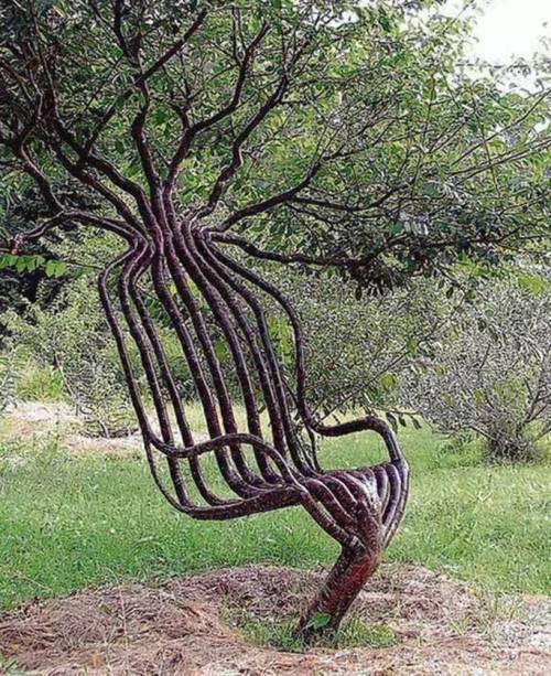 5 10년짜리 나무의자.jpg